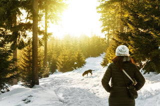 A person stands infront of the snow in a forest, a dog is in the distance